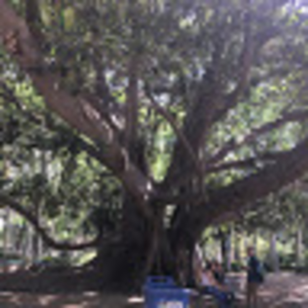 Meet your Posher, Alice